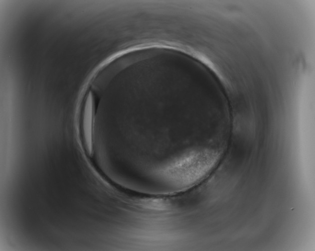 X0000090441508200707131210