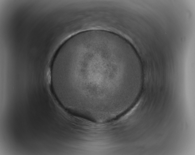 X0000090441509200707131210