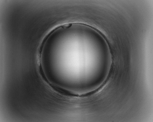 X0000090441510200707131210