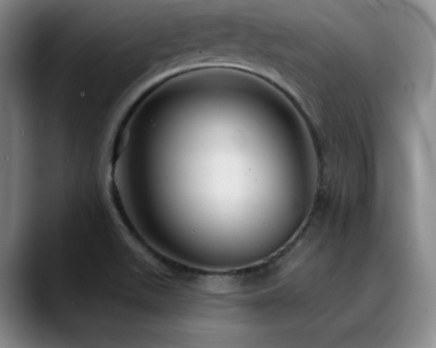X0000090441511200707131210
