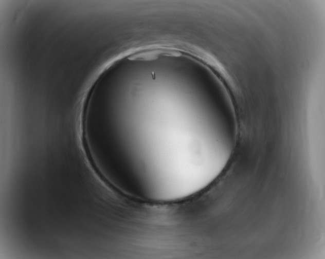 X0000090441512200707131210
