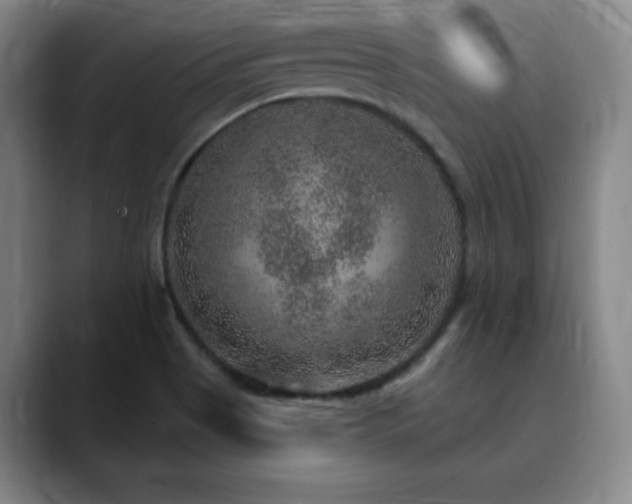 X0000090441513200707131210