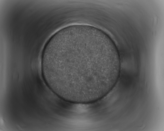 X0000090441514200707131210