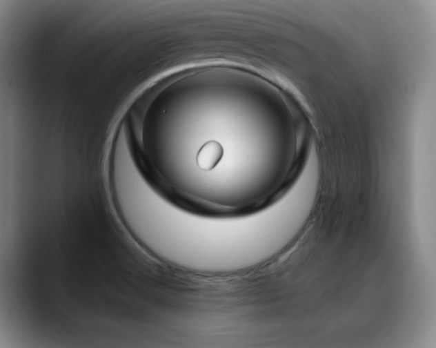 X0000090441516200707131210