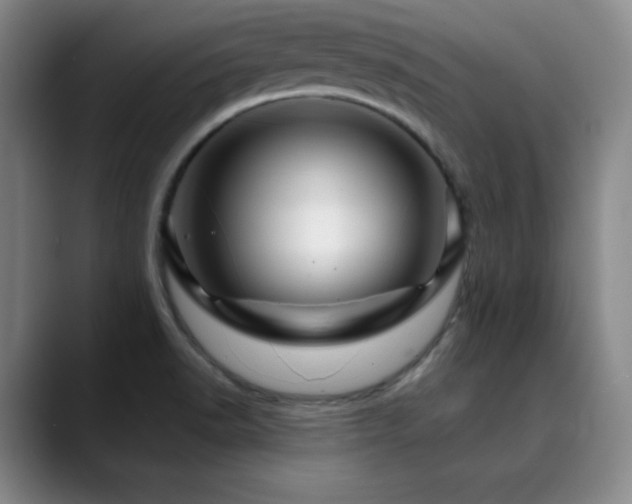 X0000090441518200707131210