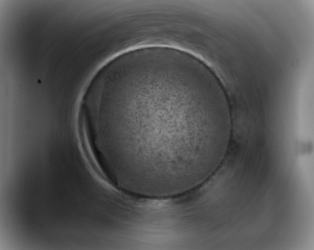 X0000090441519200707131210