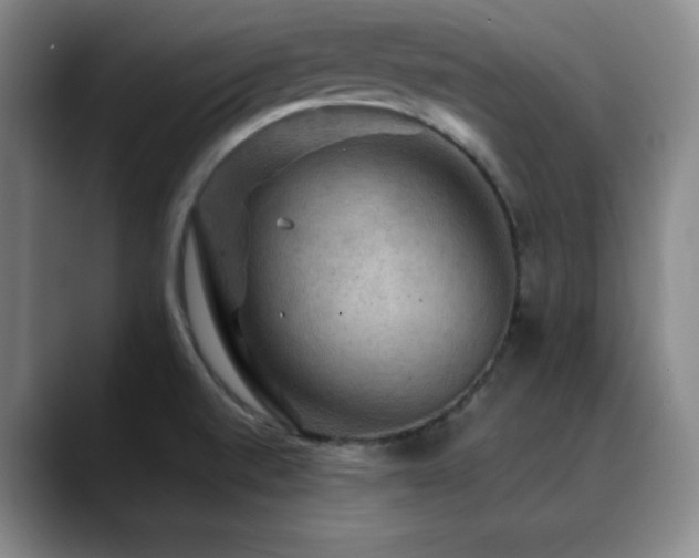 X0000090441520200707131210