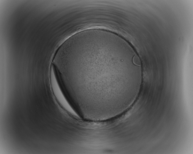 X0000090441521200707131210