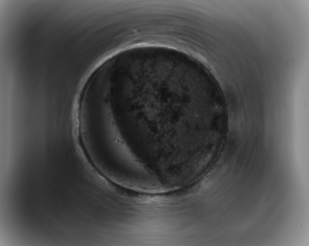 X0000090441522200707131210