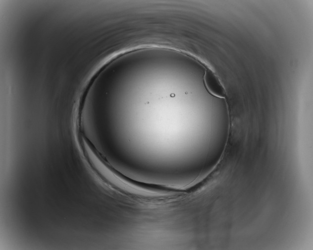 X0000090441523200707131210
