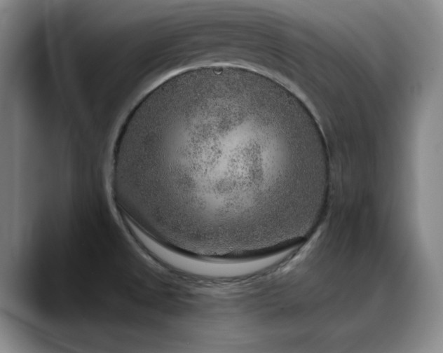 X0000090441525200707131210