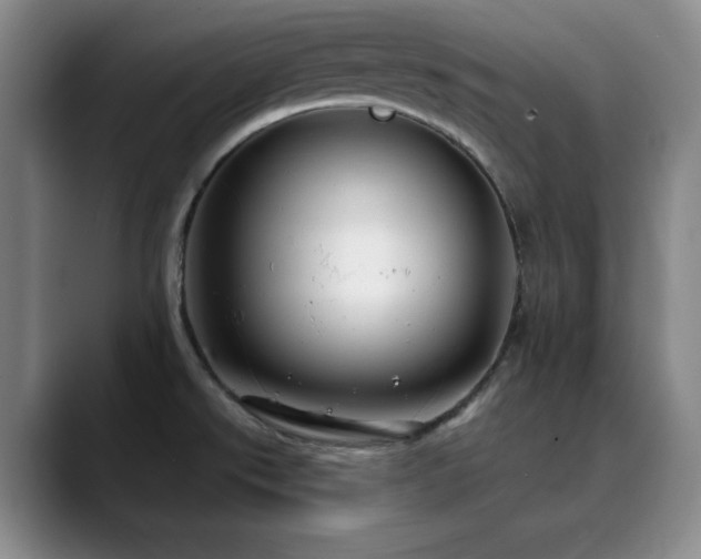 X0000090441526200707131210