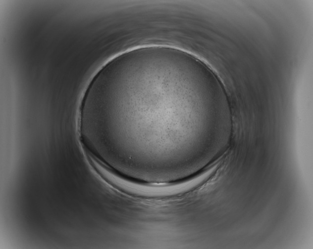 X0000090441527200707131210
