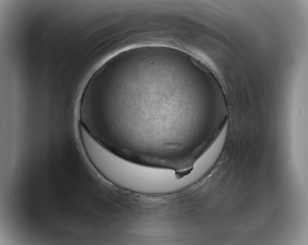 X0000090441528200707131210