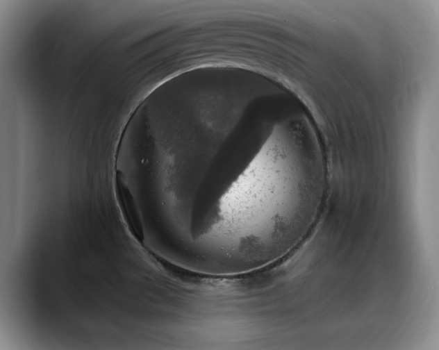 X0000090441529200707131210