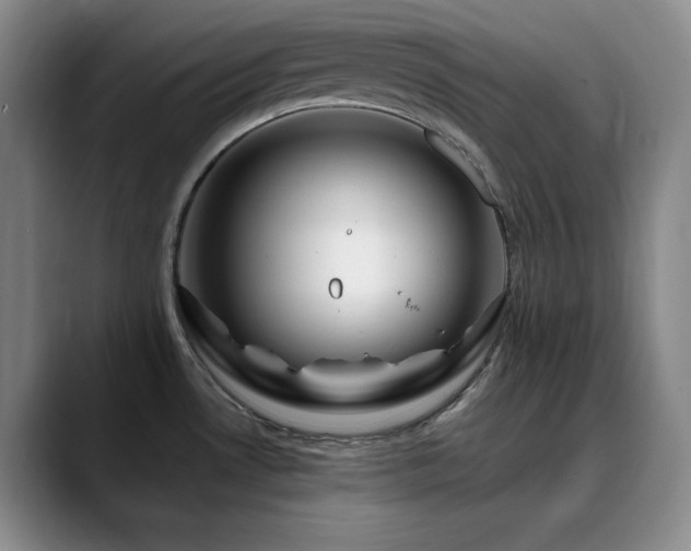 X0000090441530200707131210