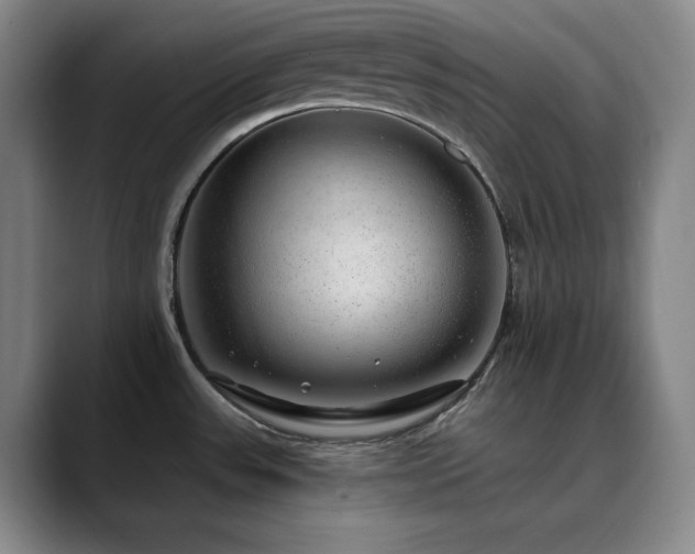 X0000090441531200707131210