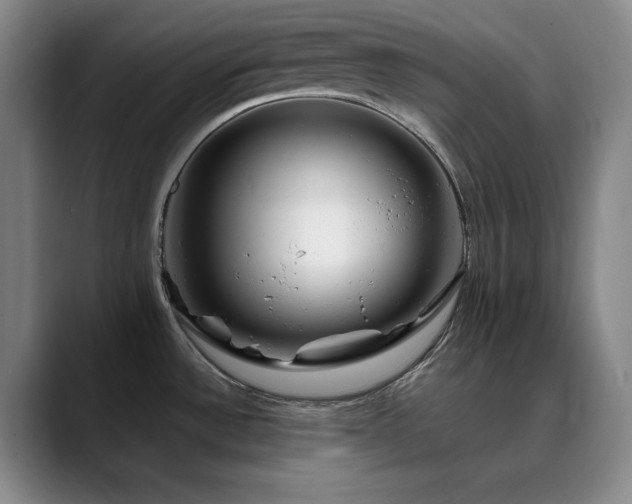 X0000090441532200707131210
