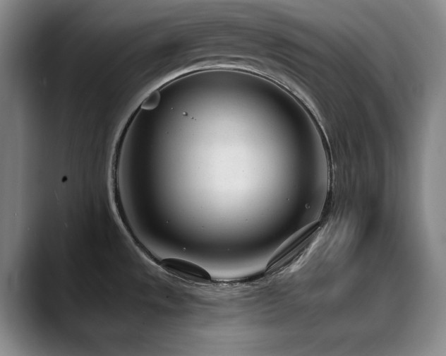 X0000090441533200707131210