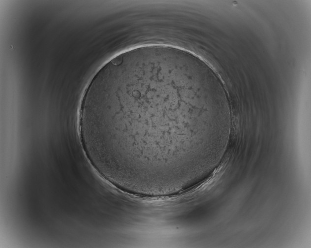 X0000090441535200707131210
