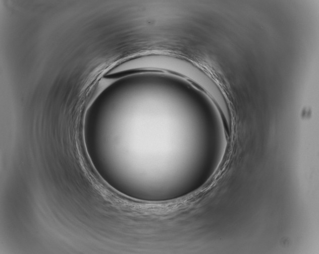 X0000090440001200707201303