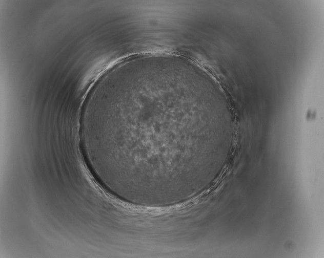 X0000090440002200707201303