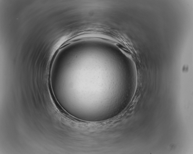 X0000090440003200707201303