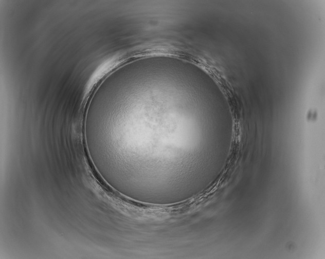 X0000090440004200707201303