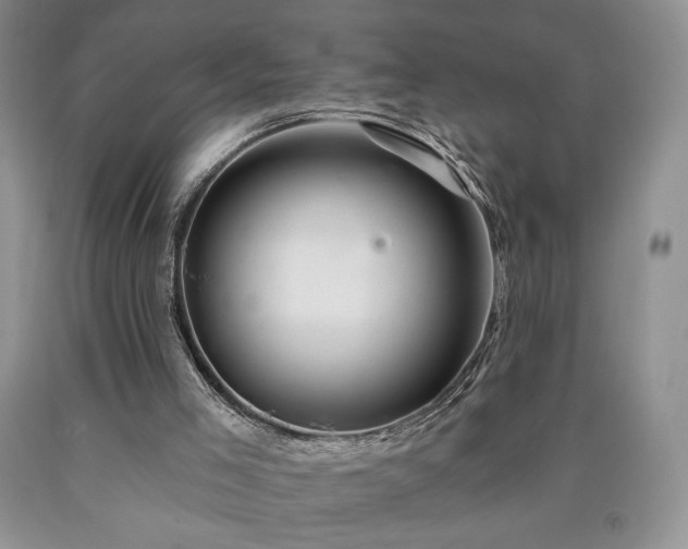 X0000090440005200707201303