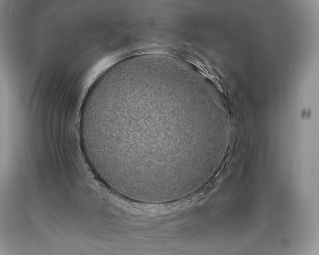 X0000090440006200707201303