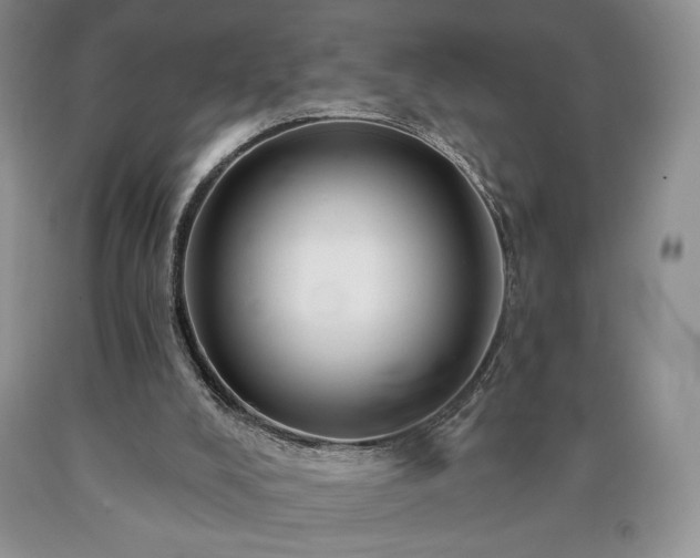 X0000090440008200707201303