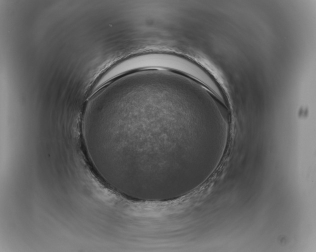 X0000090440009200707201303