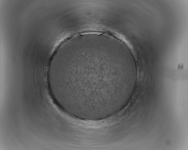 X0000090440010200707201303