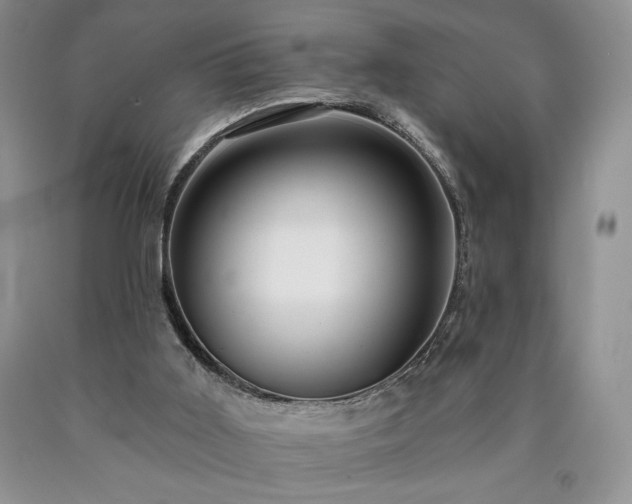 X0000090440011200707201303