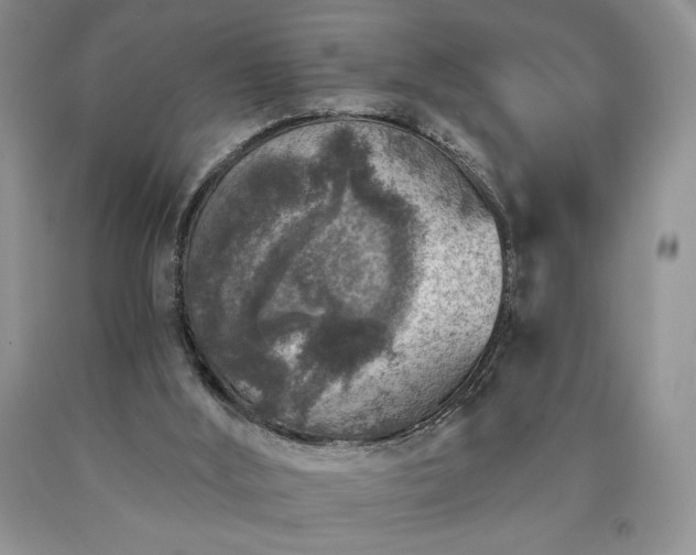 X0000090440012200707201303