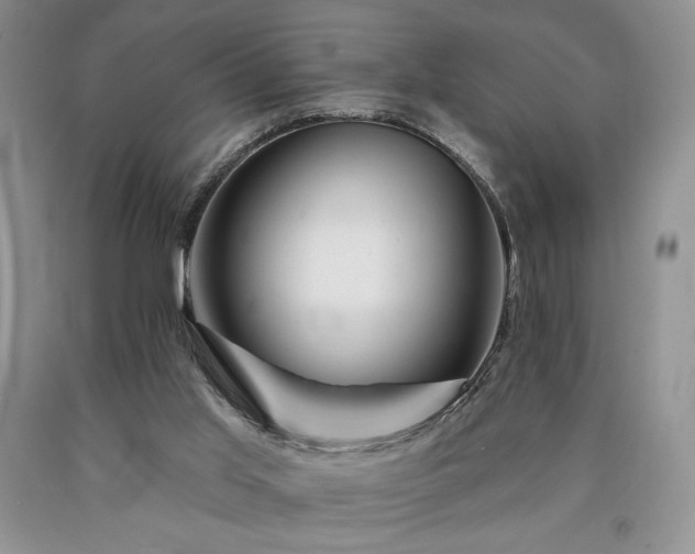 X0000090440013200707201303