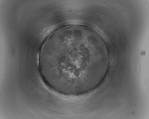 X0000090440014200707201303