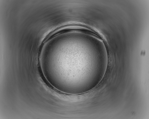 X0000090440015200707201303