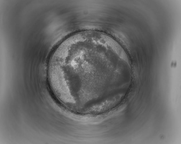 X0000090440016200707201303