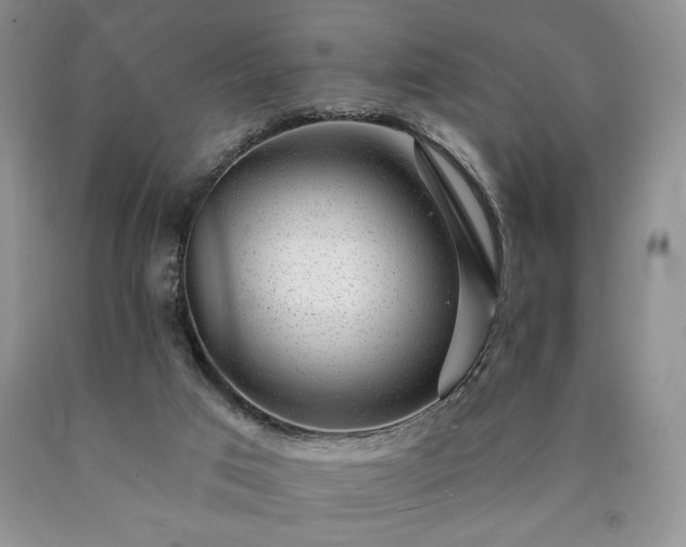 X0000090440017200707201303