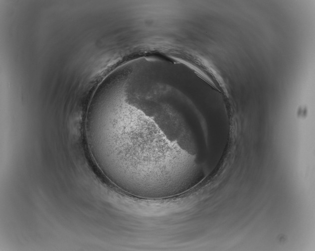 X0000090440018200707201303