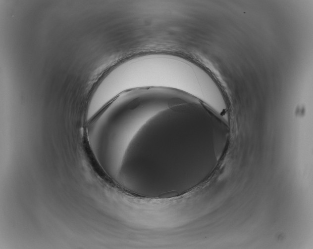 X0000090440019200707201303