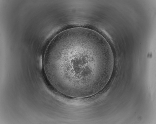 X0000090440020200707201303