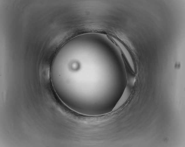 X0000090440021200707201303