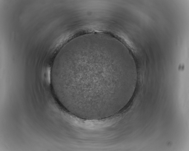 X0000090440022200707201303