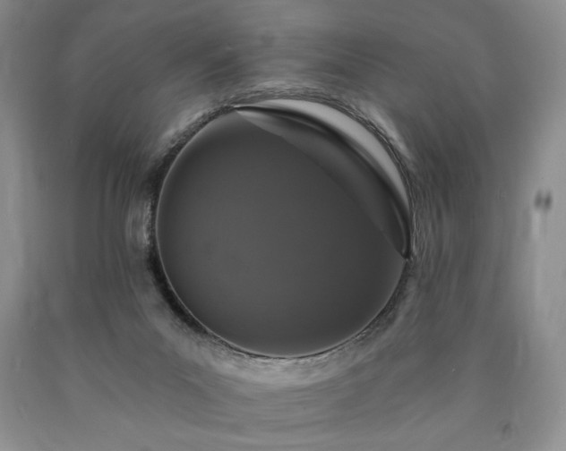 X0000090440023200707201303