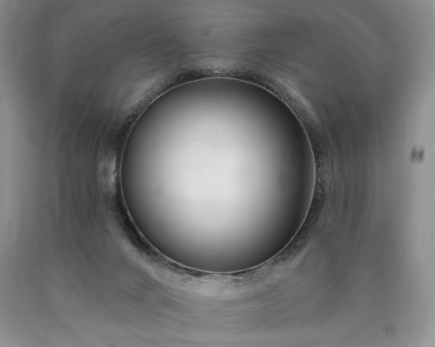 X0000090440024200707201303