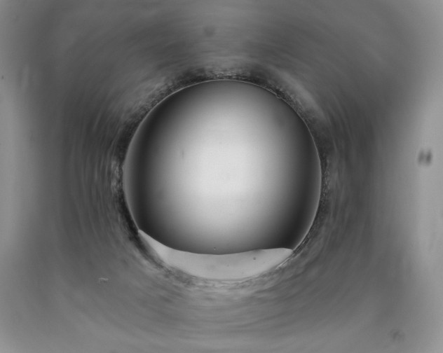 X0000090440025200707201303