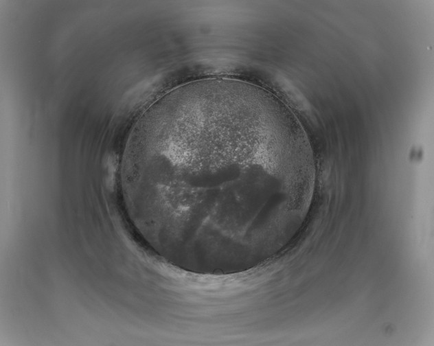 X0000090440026200707201302