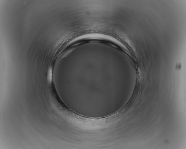 X0000090440027200707201302